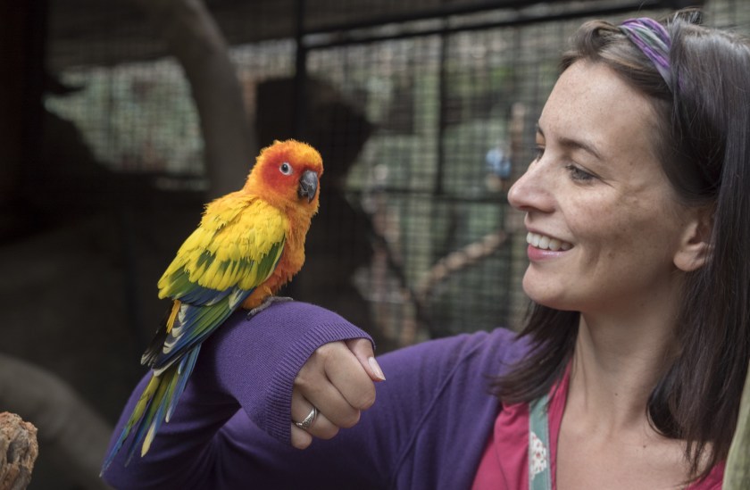 Shoalhaven Zoo, Jervis Bay