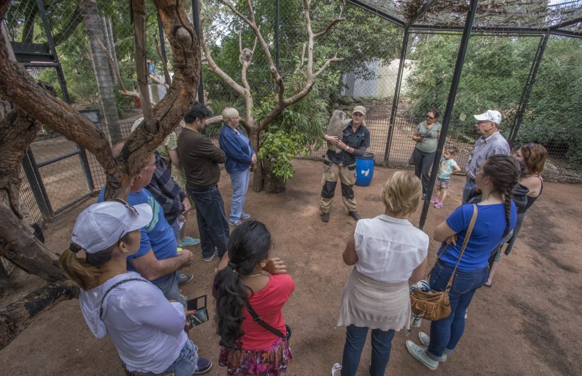 Shoalhaven Zoo, Jervis Bay