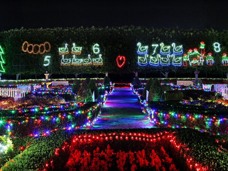 Christmas-Lights-Spectacular-2