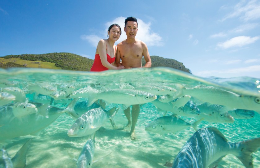 Neds Beach, Lord Howe Island